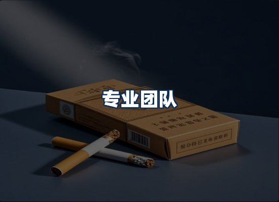 专业团队